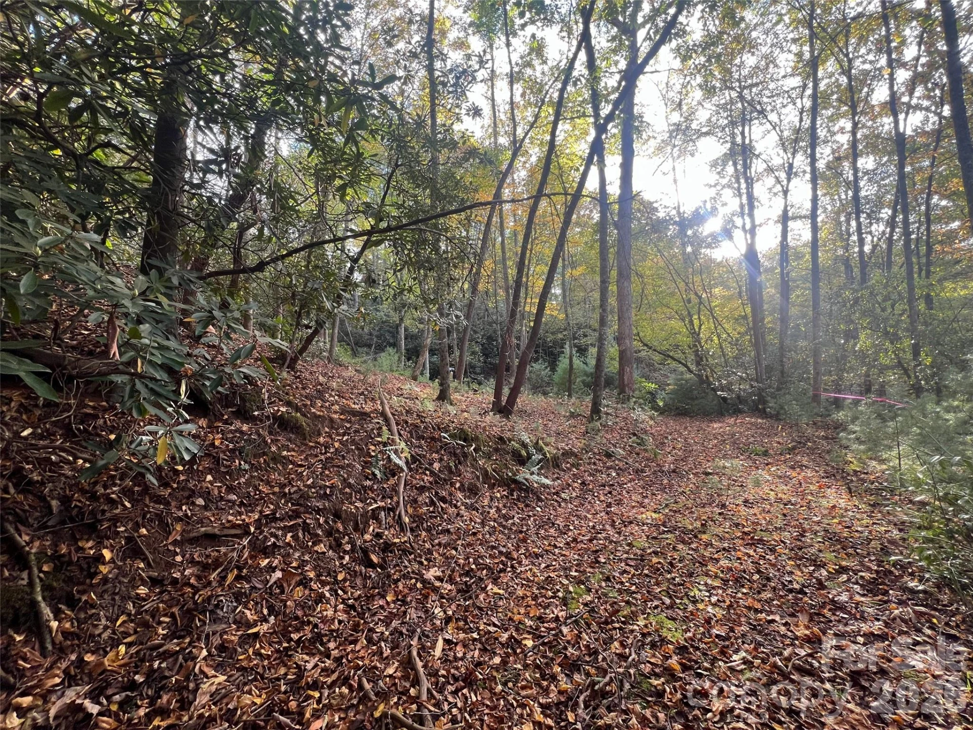 6 Dividing Ridge Trail #01 - Photo 14