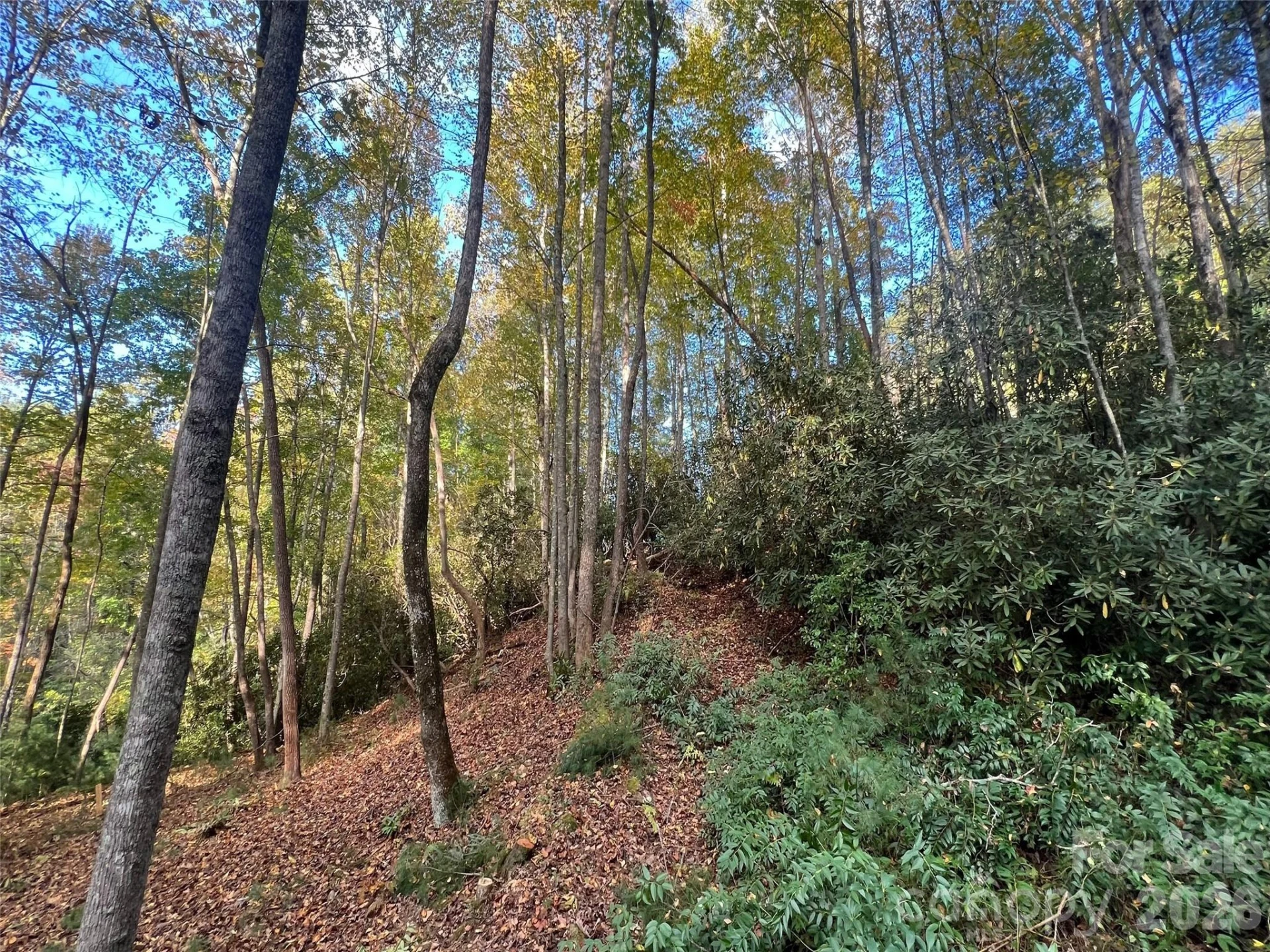 6 Dividing Ridge Trail #01 - Photo 16