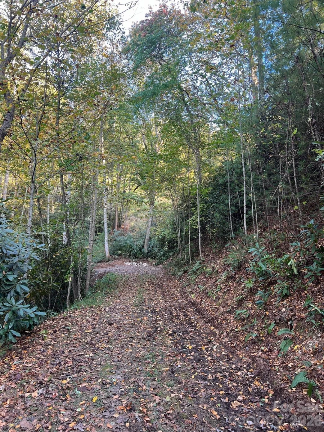 6 Dividing Ridge Trail #01 - Photo 18