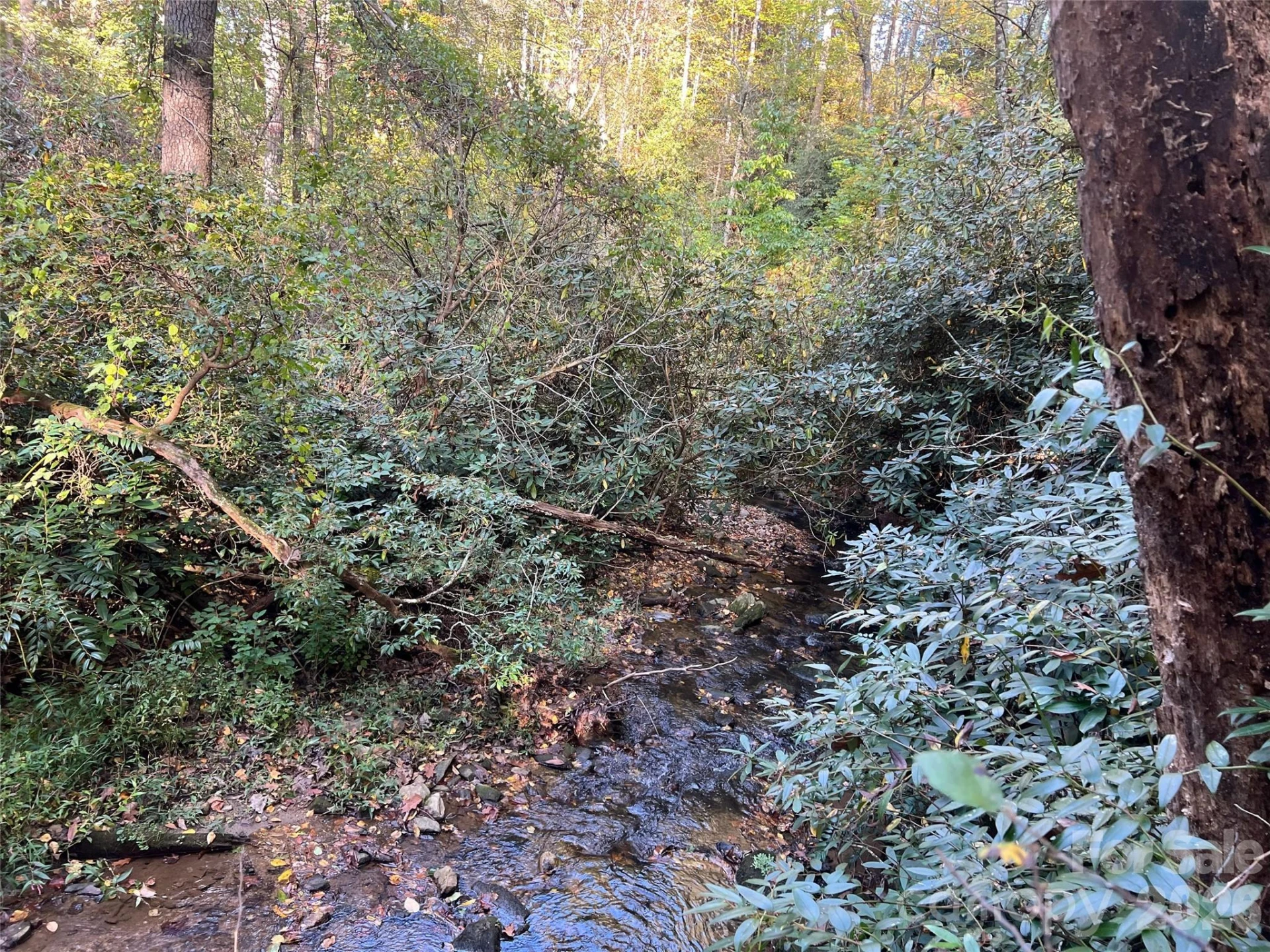 6 Dividing Ridge Trail #01 - Photo 6