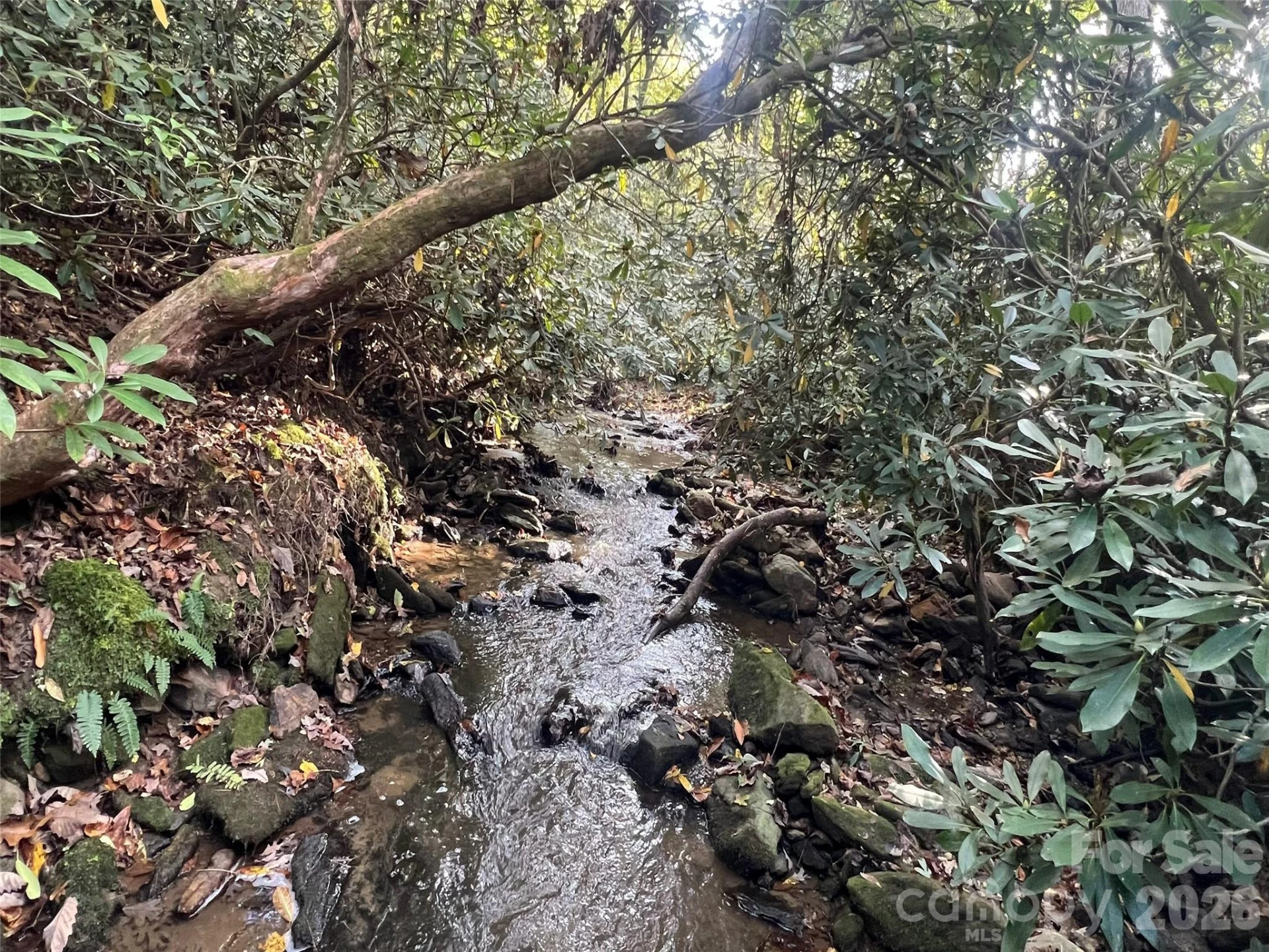 6 Dividing Ridge Trail #01 - Photo 8