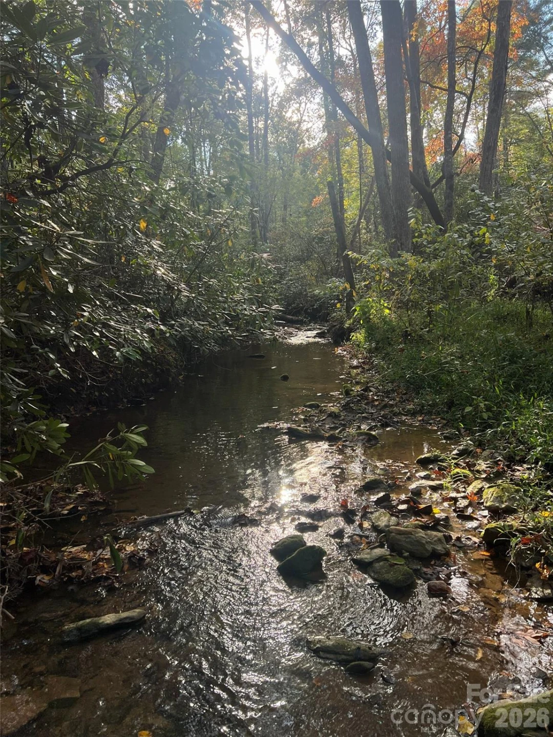6 Dividing Ridge Trail #01 - Photo 9