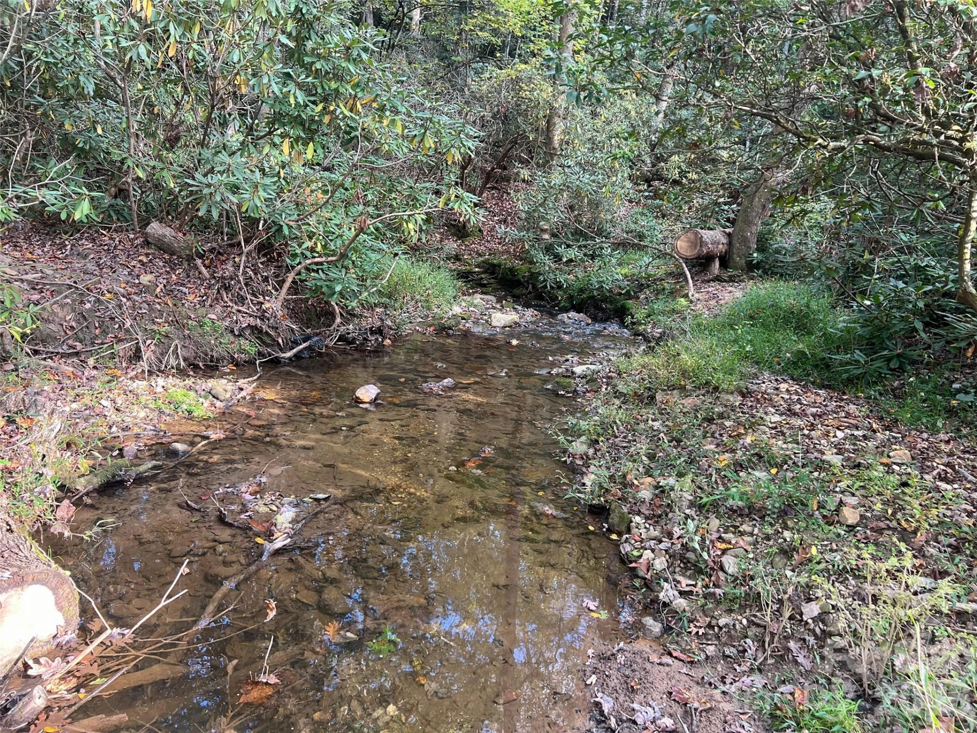 6 Dividing Ridge Trail #01 - Photo 10