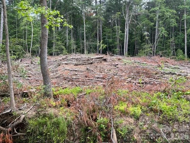 TBD Fowler Road - Photo 12