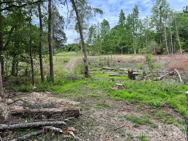 TBD Fowler Road - Photo 13