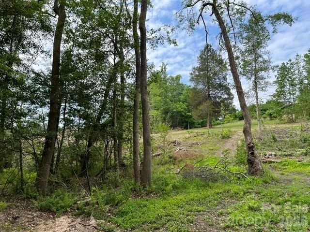 TBD Fowler Road - Photo 14