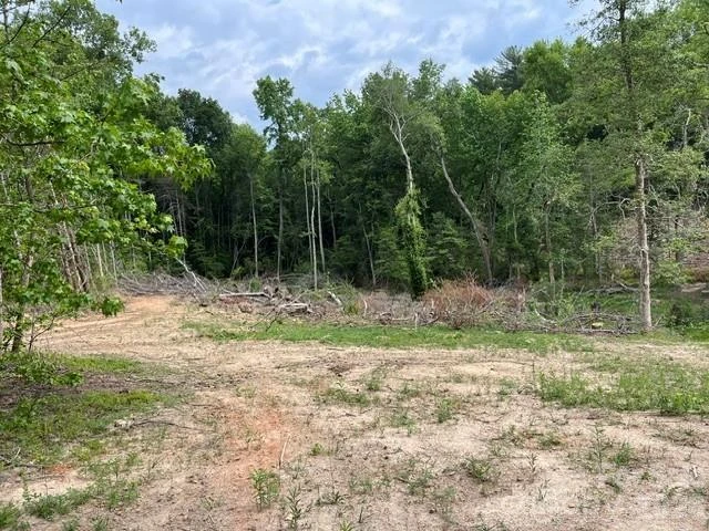 TBD Fowler Road - Photo 15