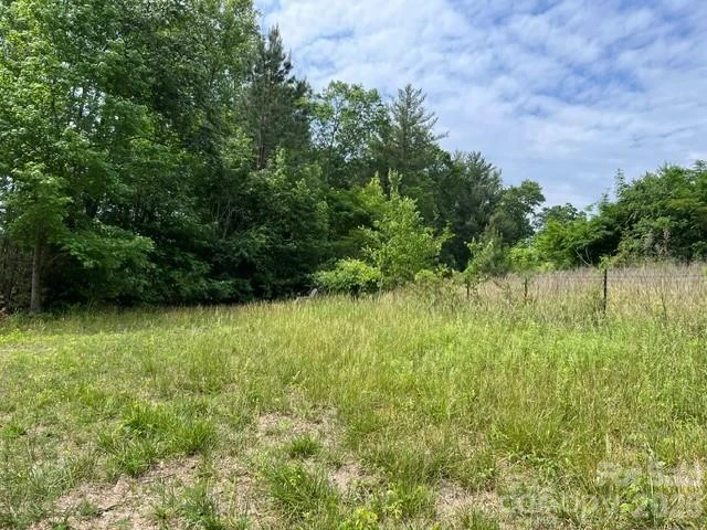 TBD Fowler Road - Photo 16