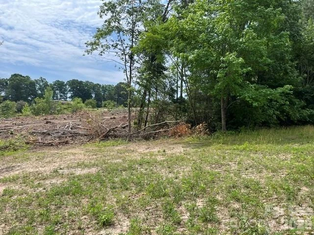 TBD Fowler Road - Photo 17