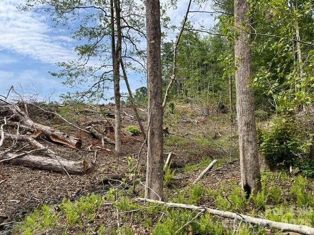 TBD Fowler Road - Photo 18