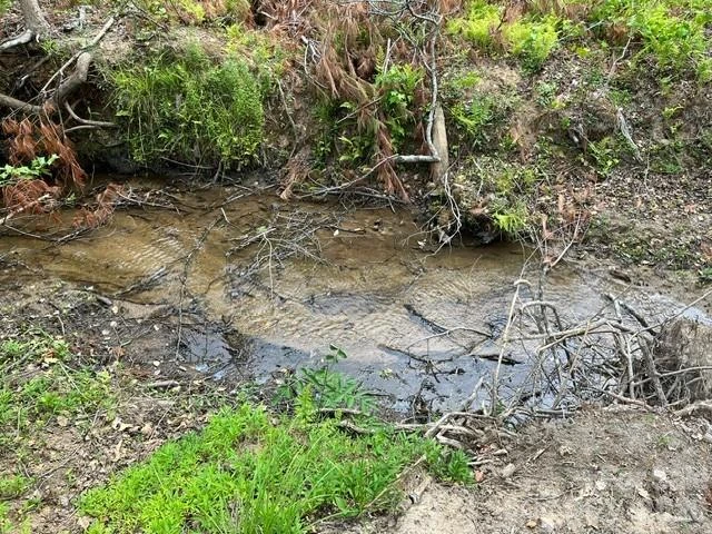 TBD Fowler Road - Photo 19