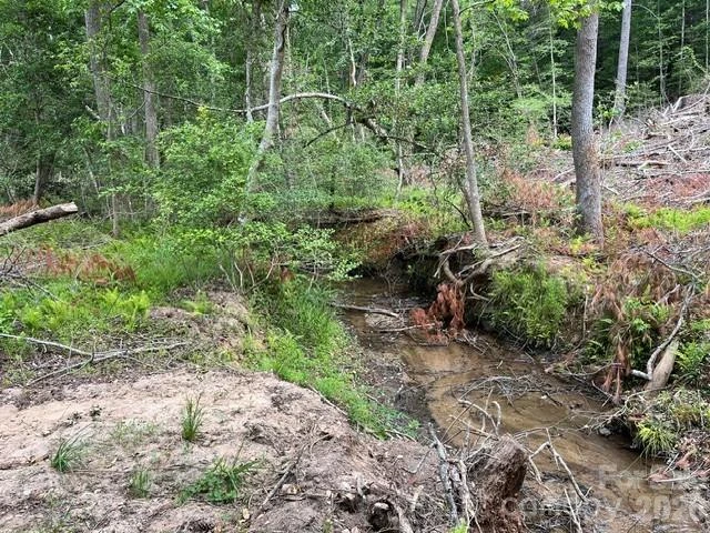 TBD Fowler Road - Photo 20