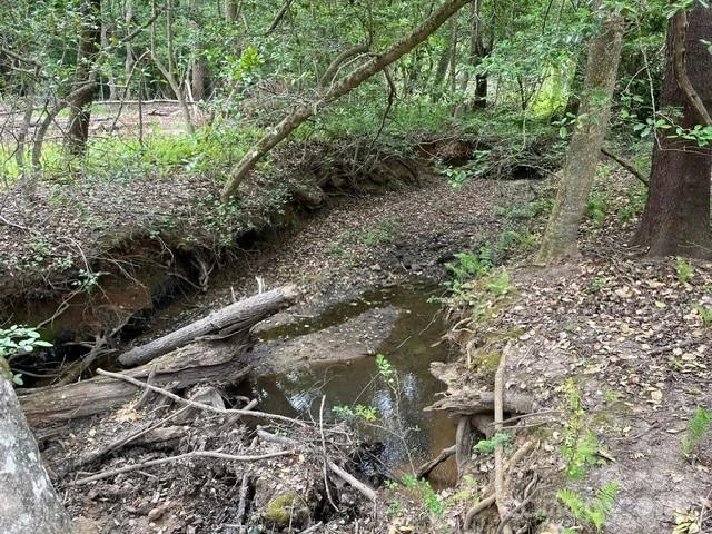 TBD Fowler Road - Photo 21