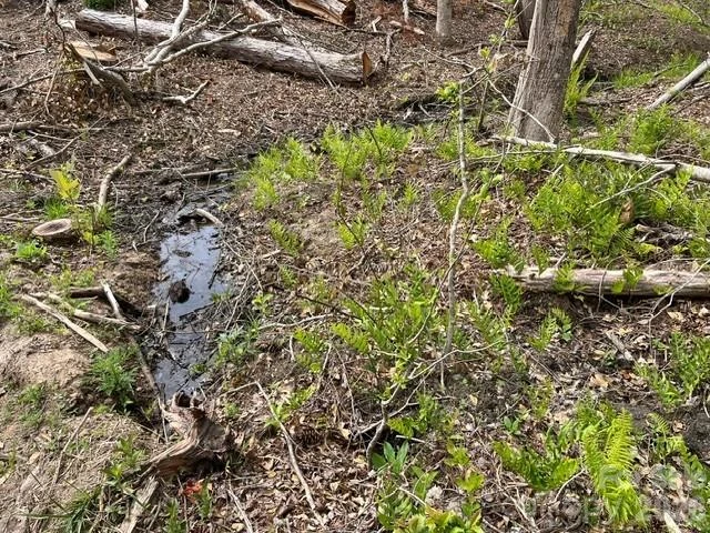 TBD Fowler Road - Photo 22