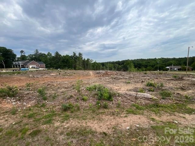 TBD Fowler Road - Photo 10