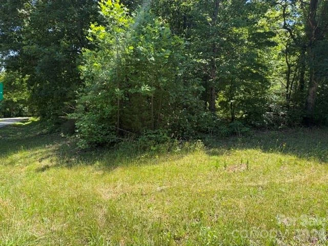4702 Lee Cline Road - Photo 2
