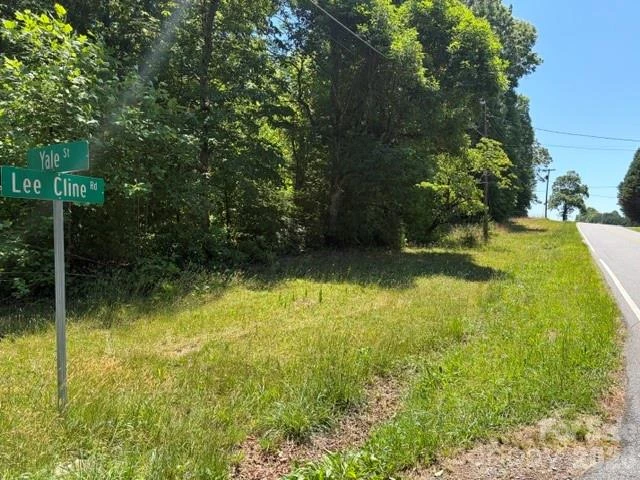 4702 Lee Cline Road - Photo 3