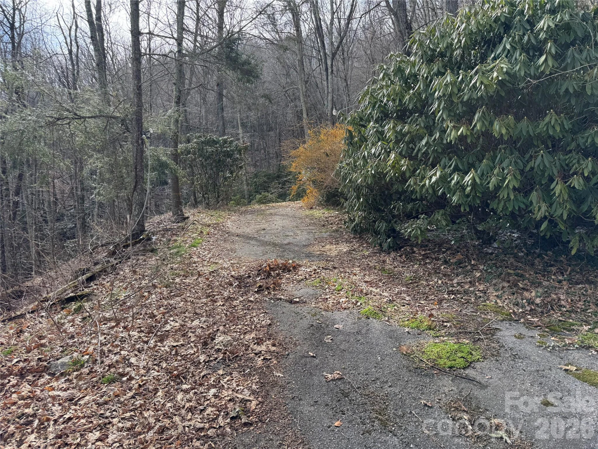 2085 Laurel Road - Photo 20