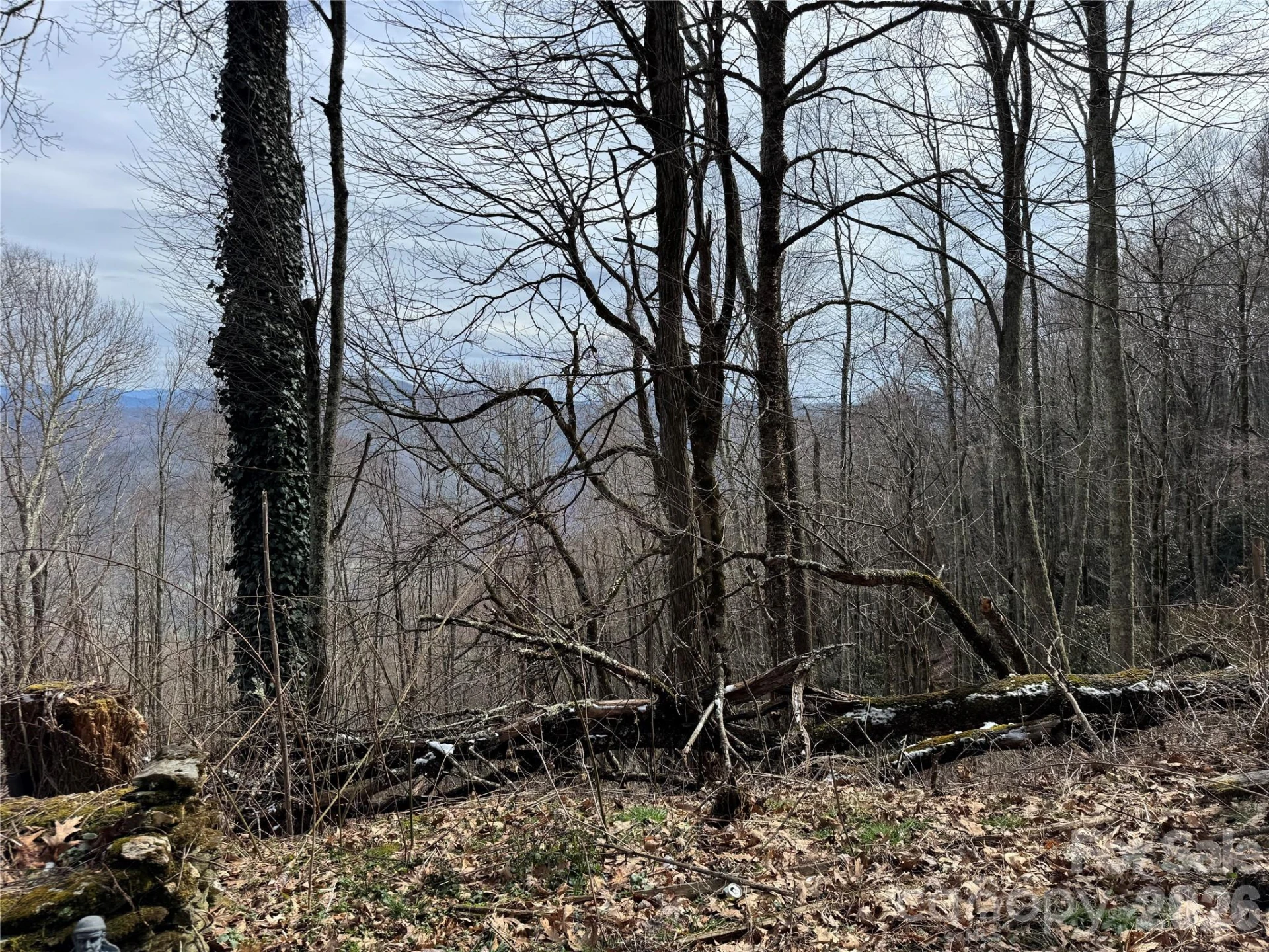 2085 Laurel Road - Photo 4