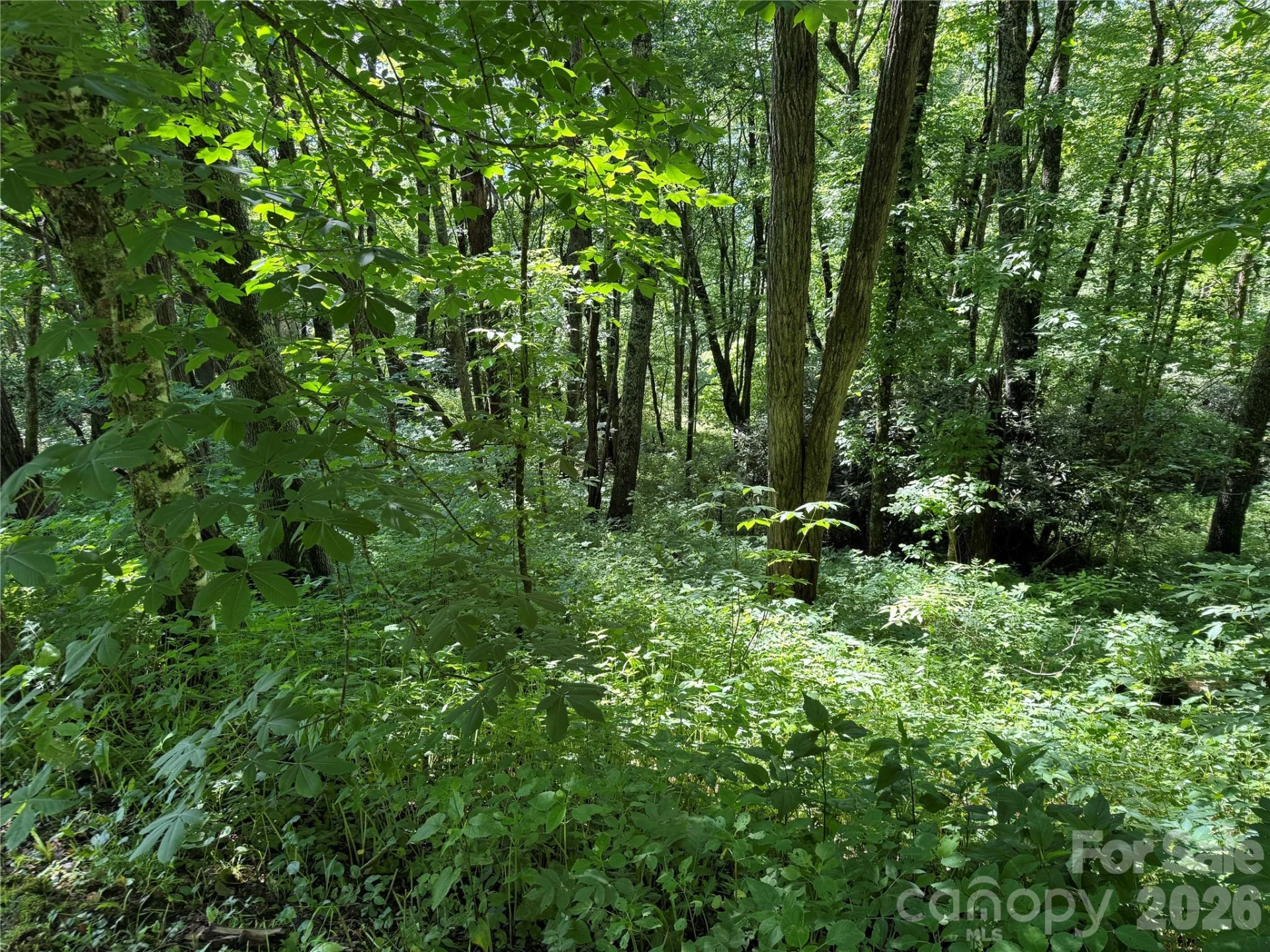2085 Laurel Ridge - Photo 38