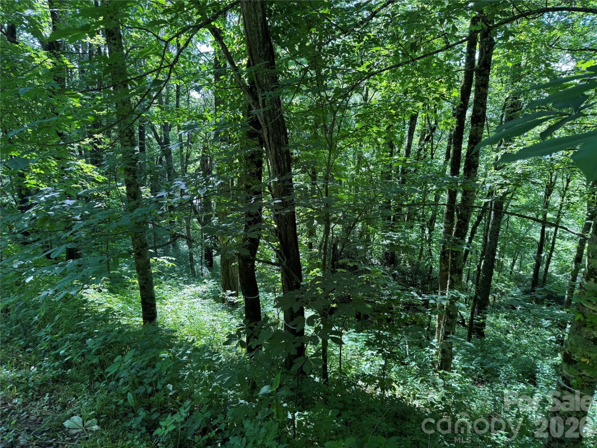 2085 Laurel Ridge - Photo 39