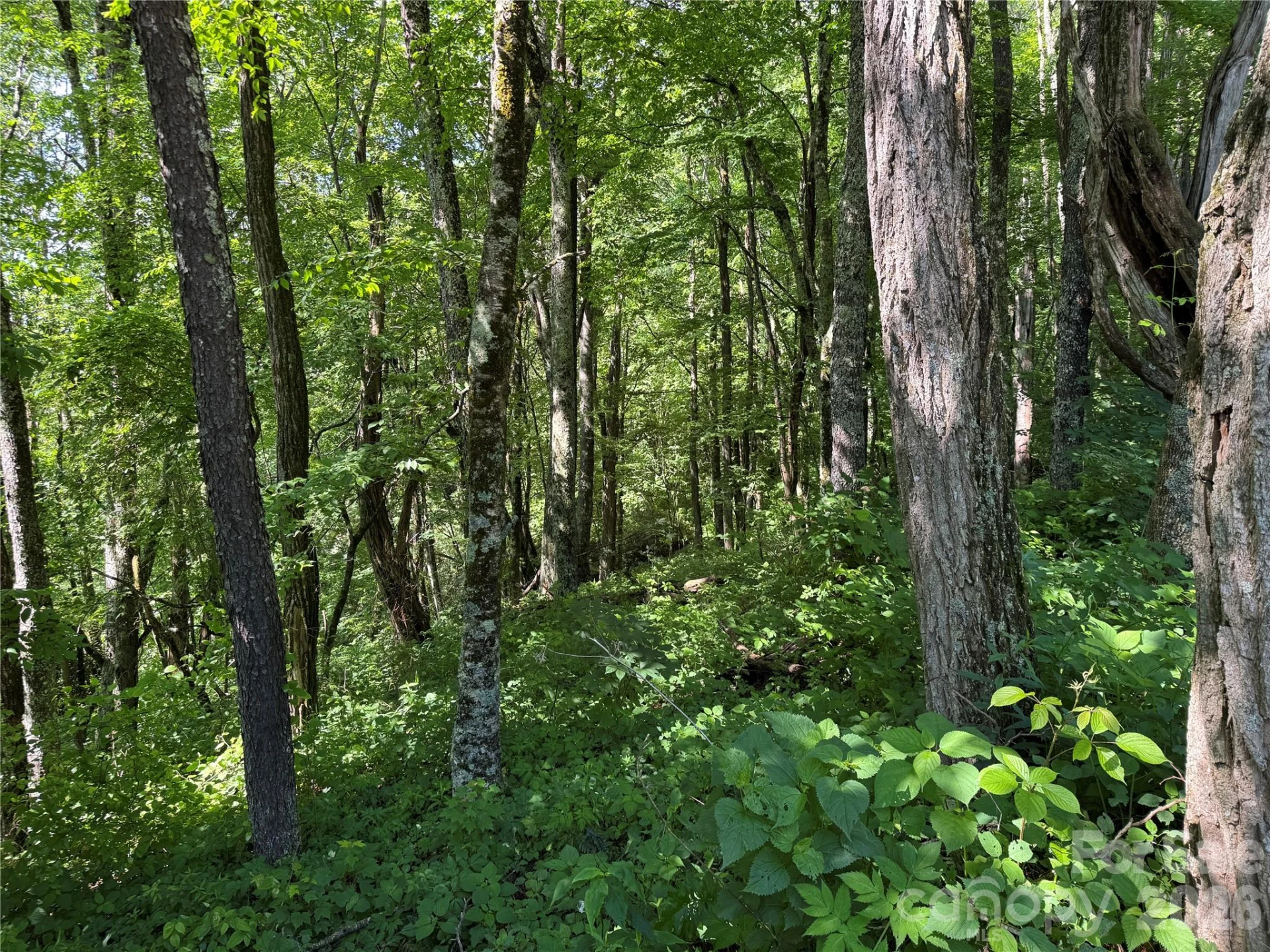 2085 Laurel Ridge - Photo 40