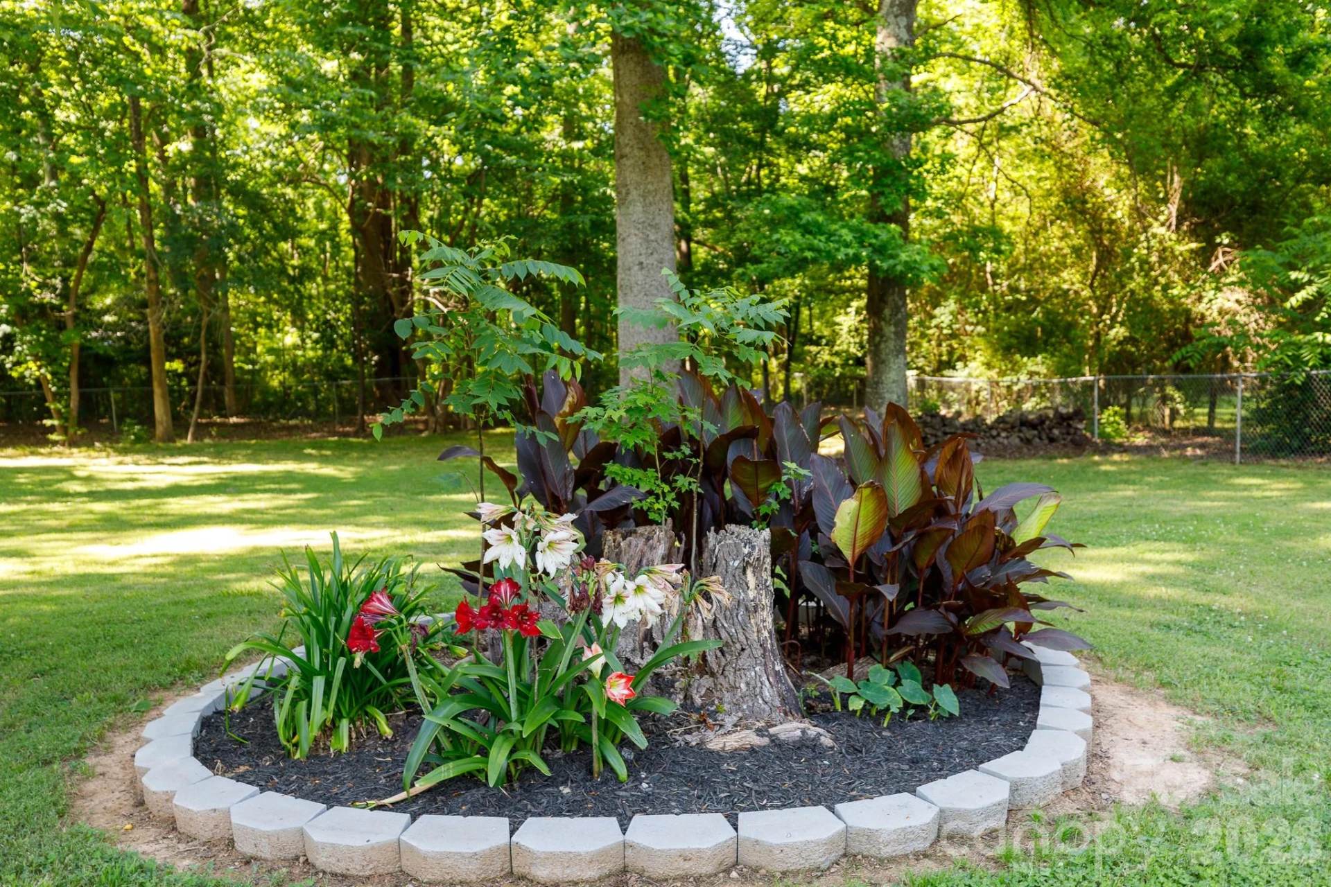 2967 Starnes Drive - Photo 8
