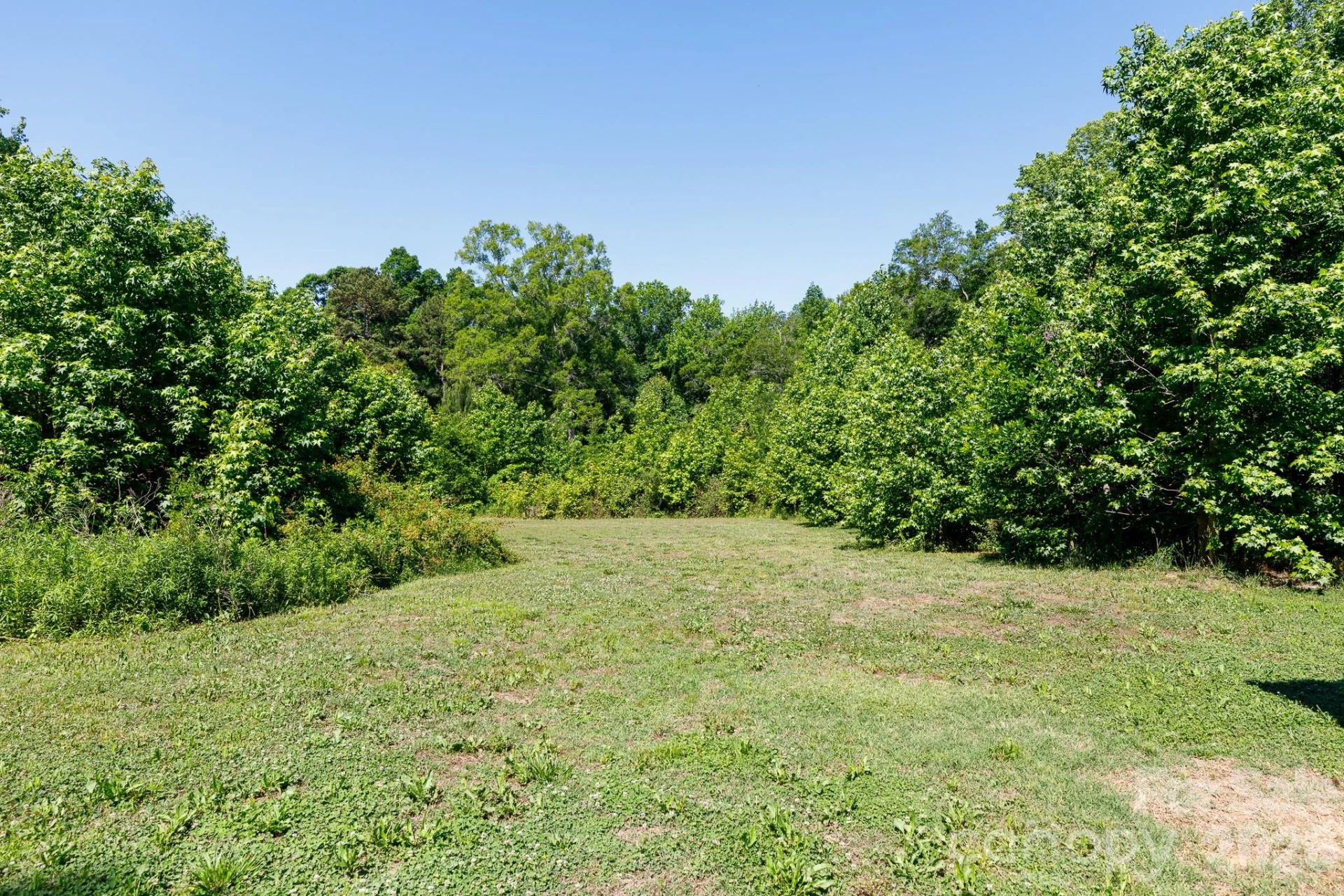 2967 Starnes Drive - Photo 9