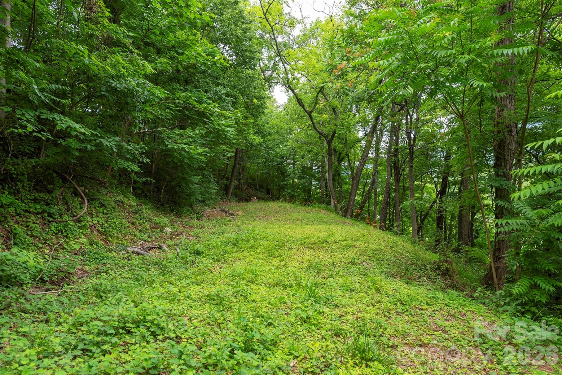 588 US 25/70 Highway - Photo 12