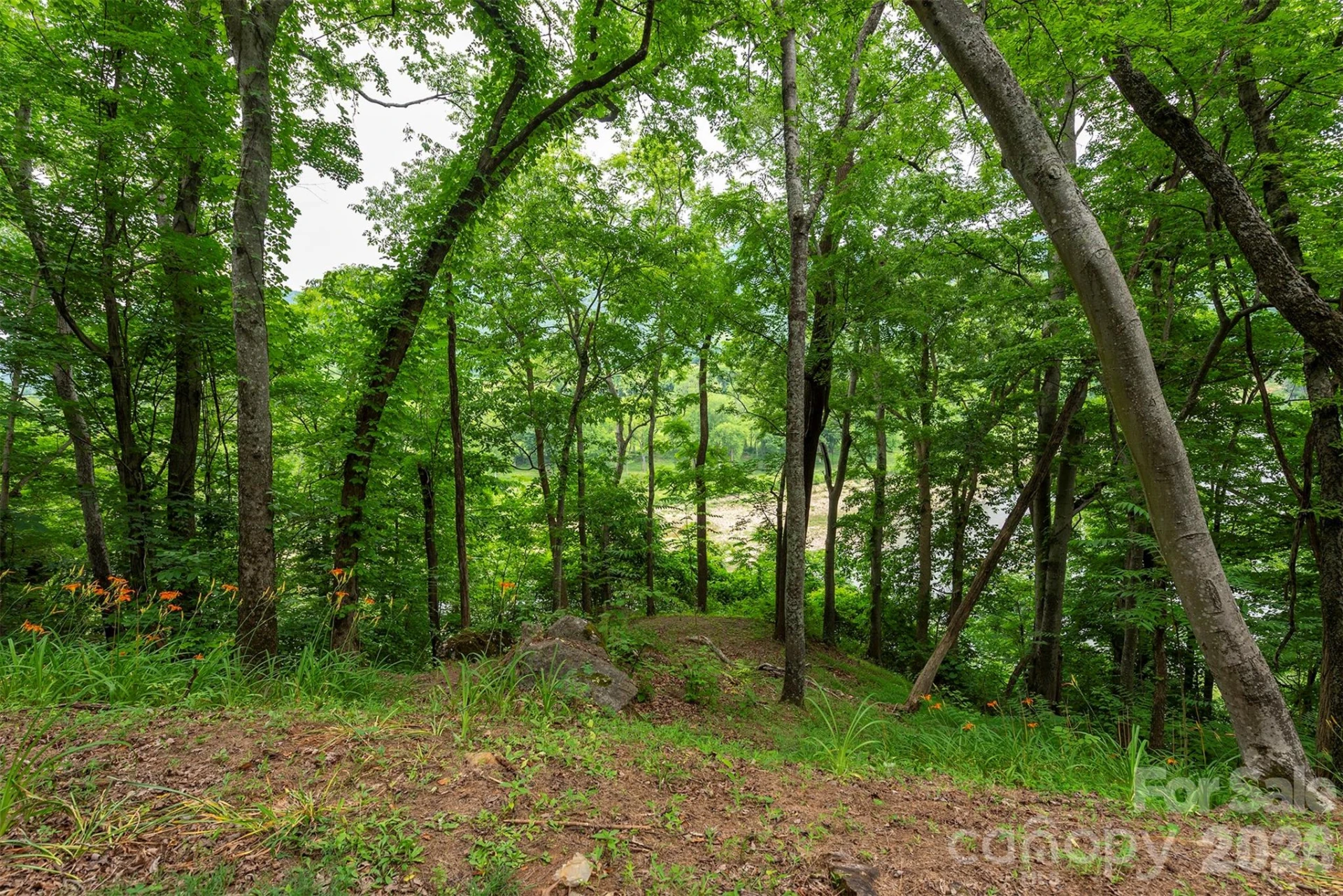 588 US 25/70 Highway - Photo 13
