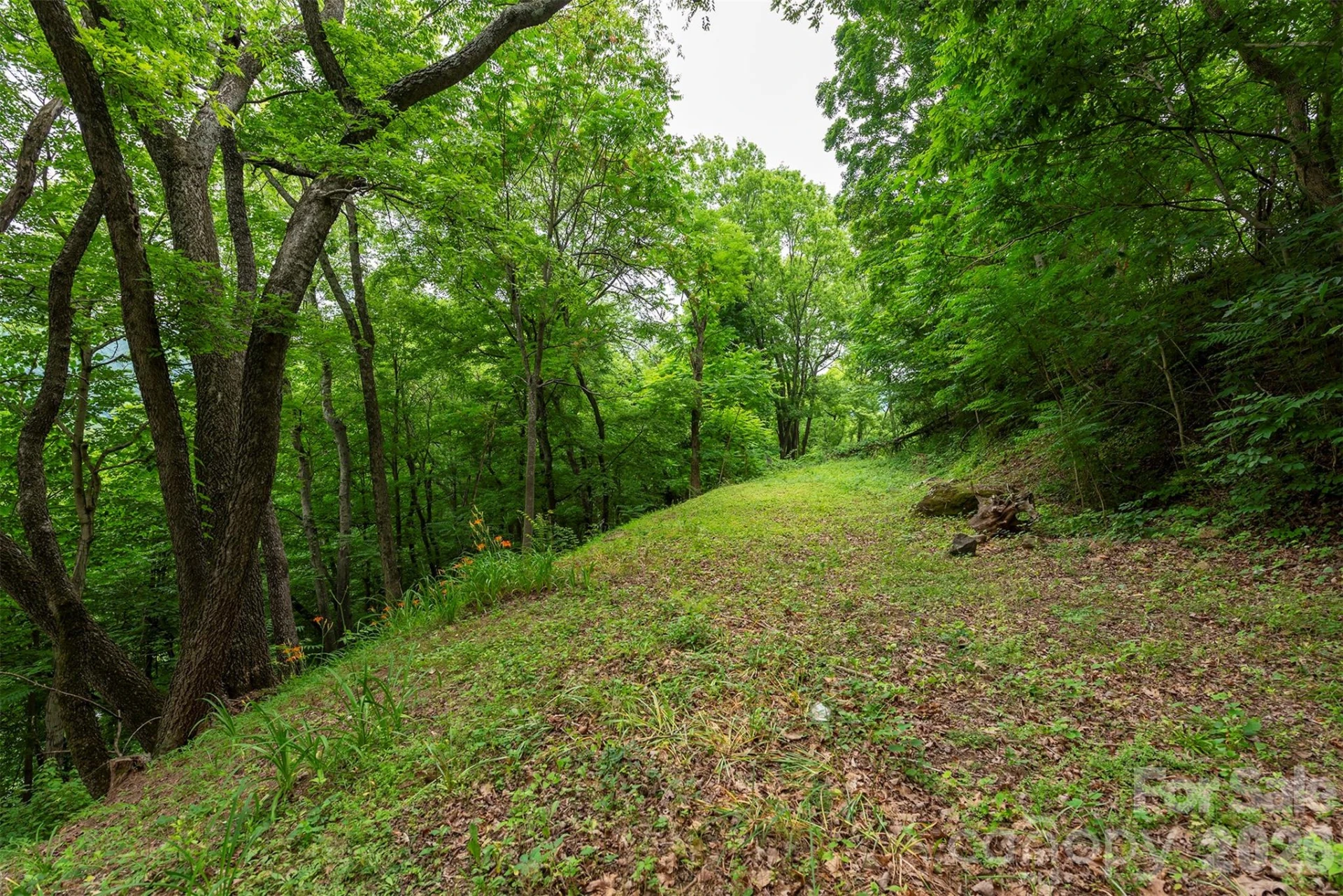 588 US 25/70 Highway - Photo 14