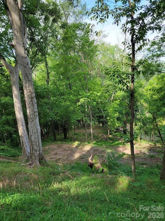 588 US 25/70 Highway - Photo 15