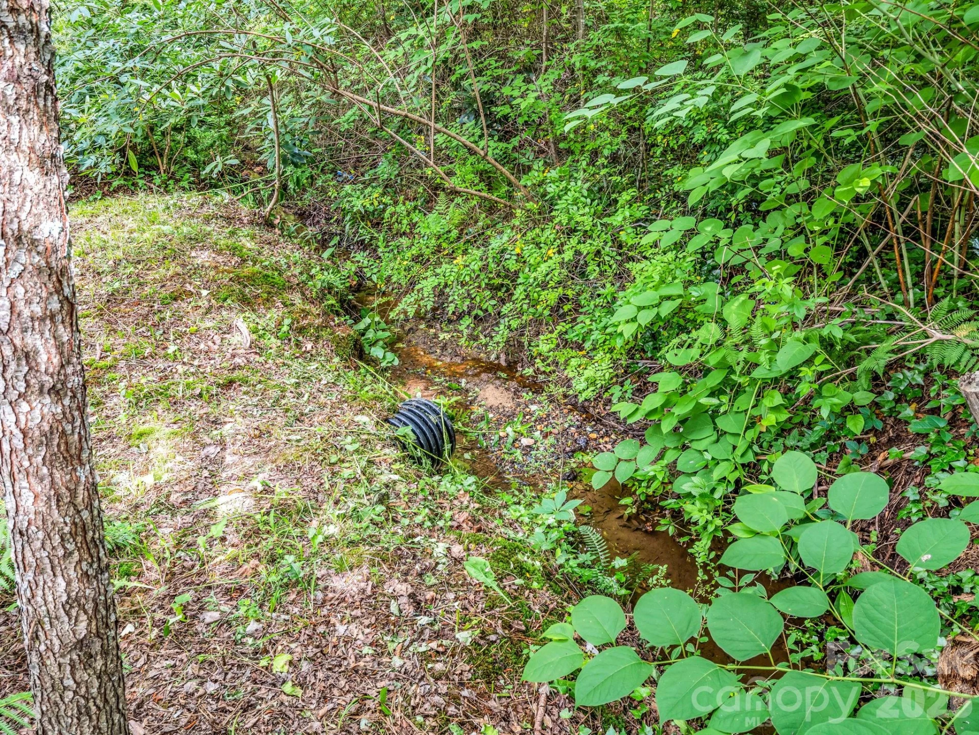 701 Azalea Avenue - Photo 42