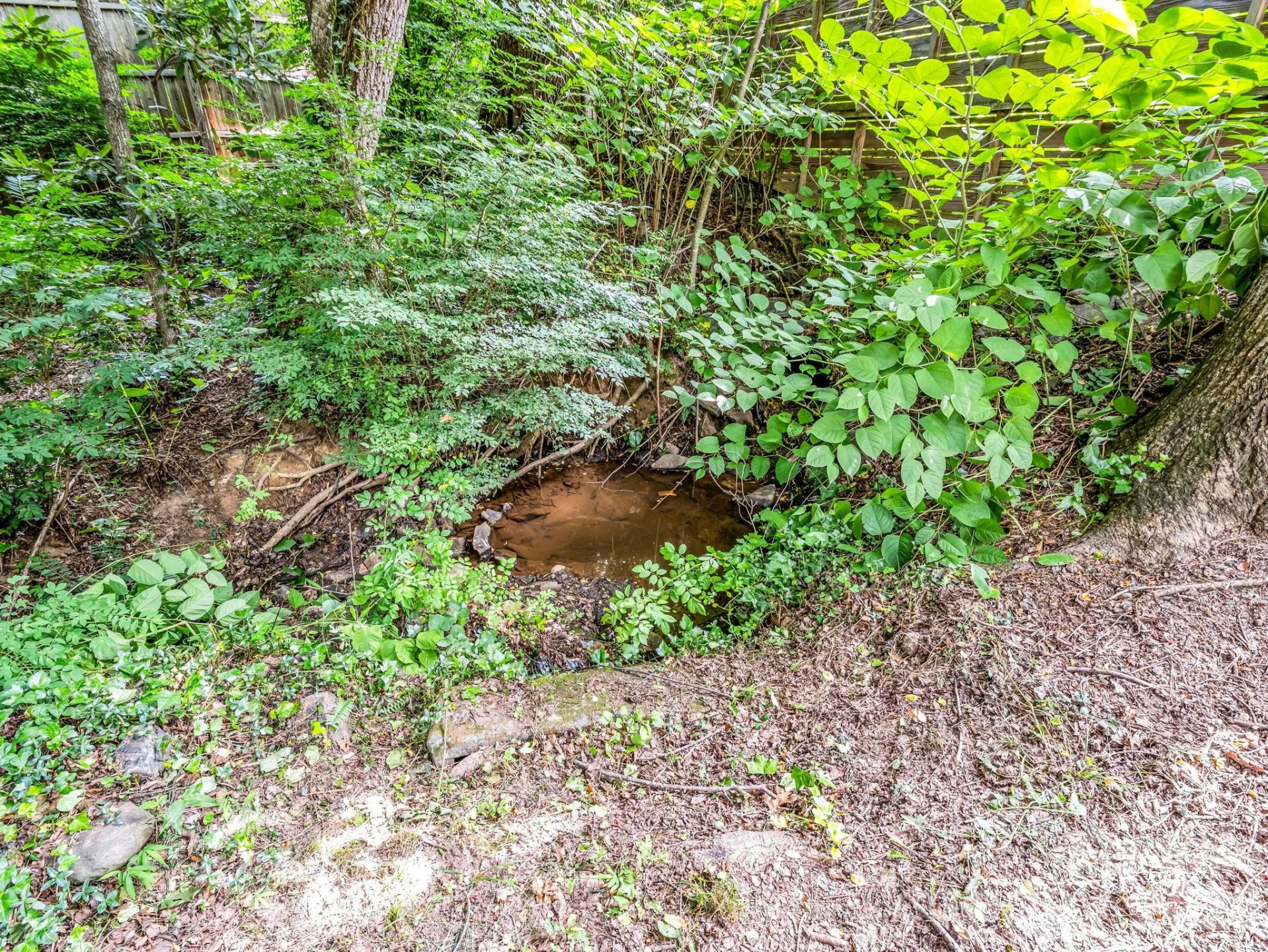 701 Azalea Avenue - Photo 43