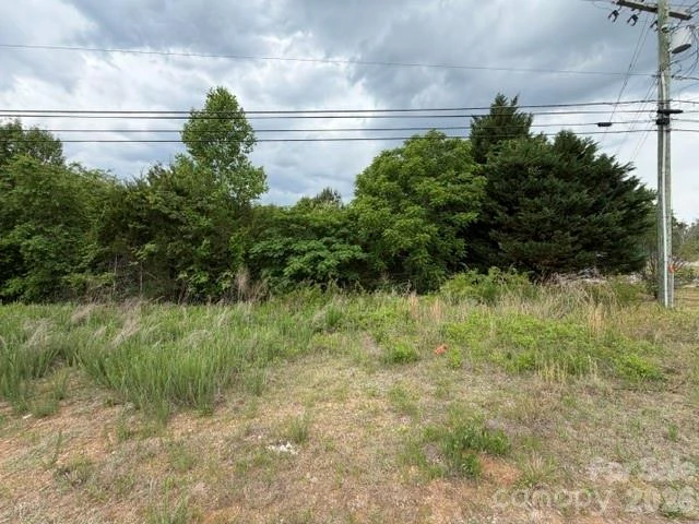 2049 Old Shelby Road - Photo 2