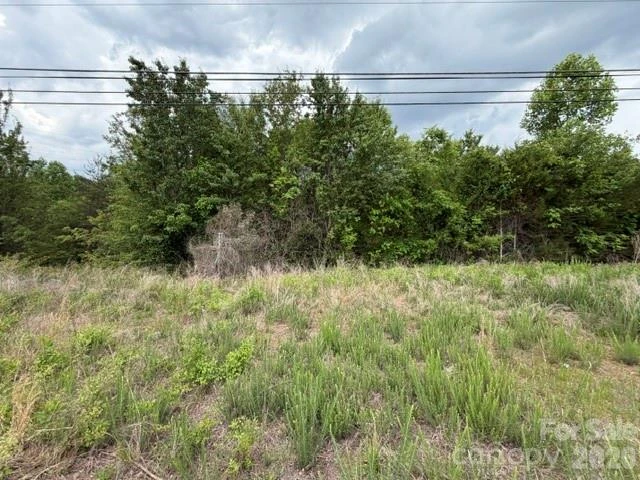 2049 Old Shelby Road - Photo 3