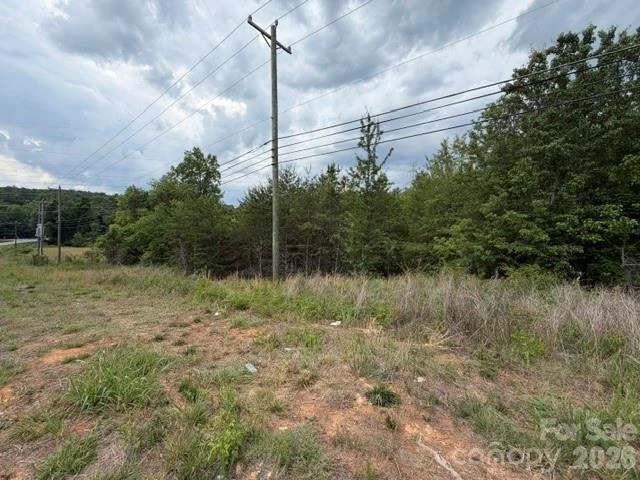 2049 Old Shelby Road - Photo 4