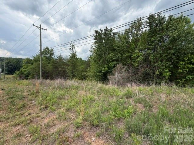 2049 Old Shelby Road - Photo 5
