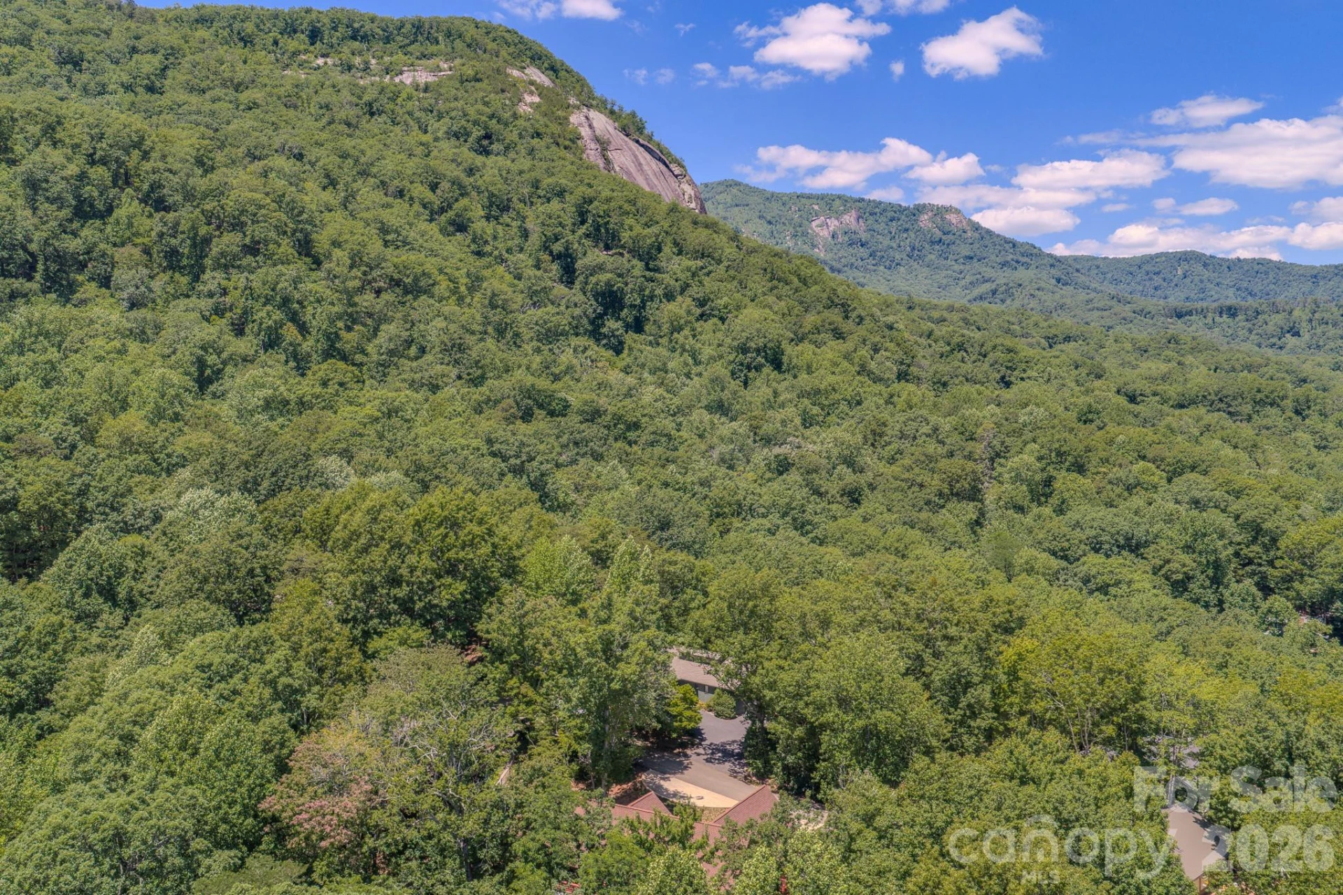 231 Blue Bird Road - Photo 36