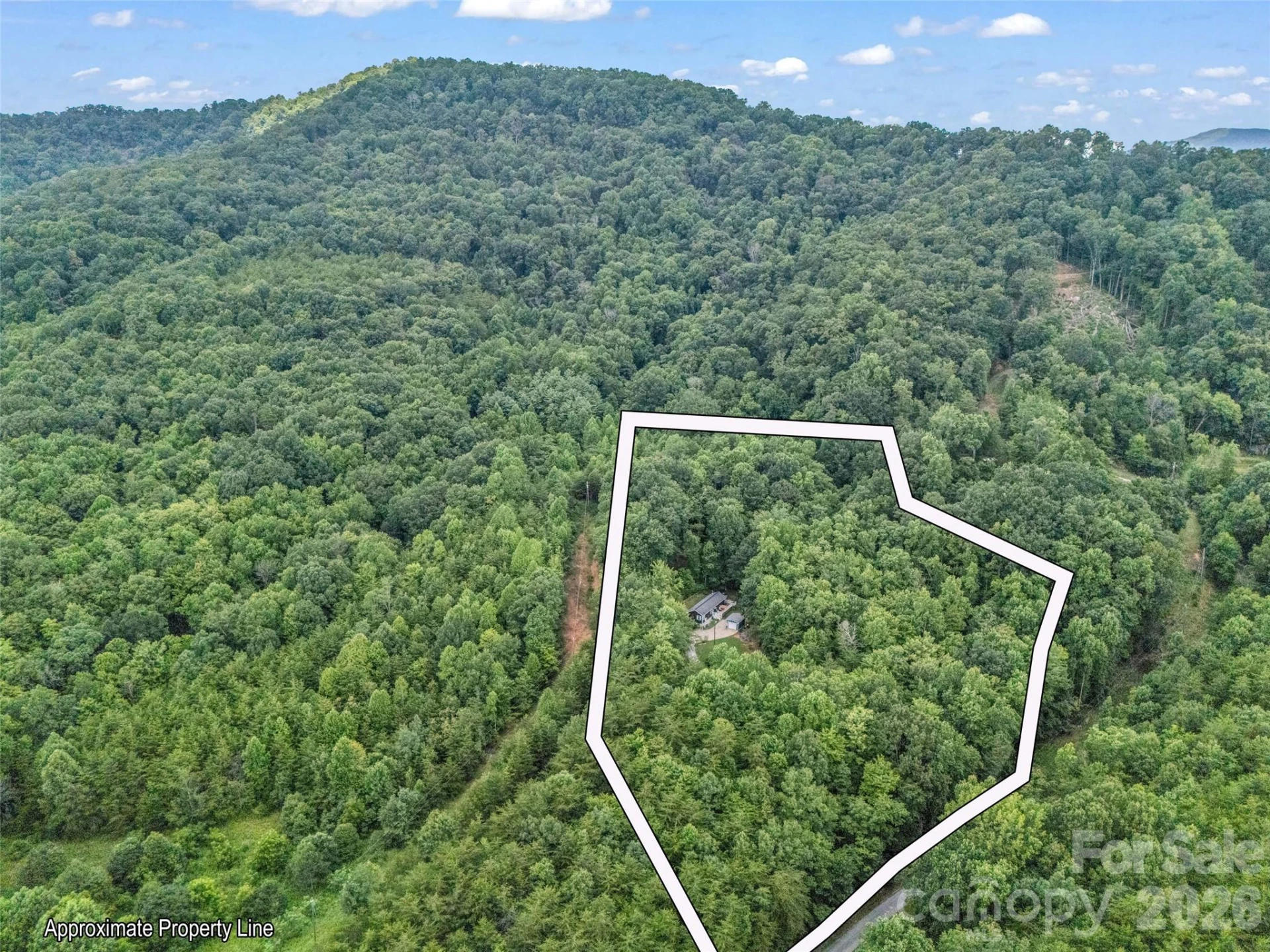 479 Camp Hill Road - Photo 41