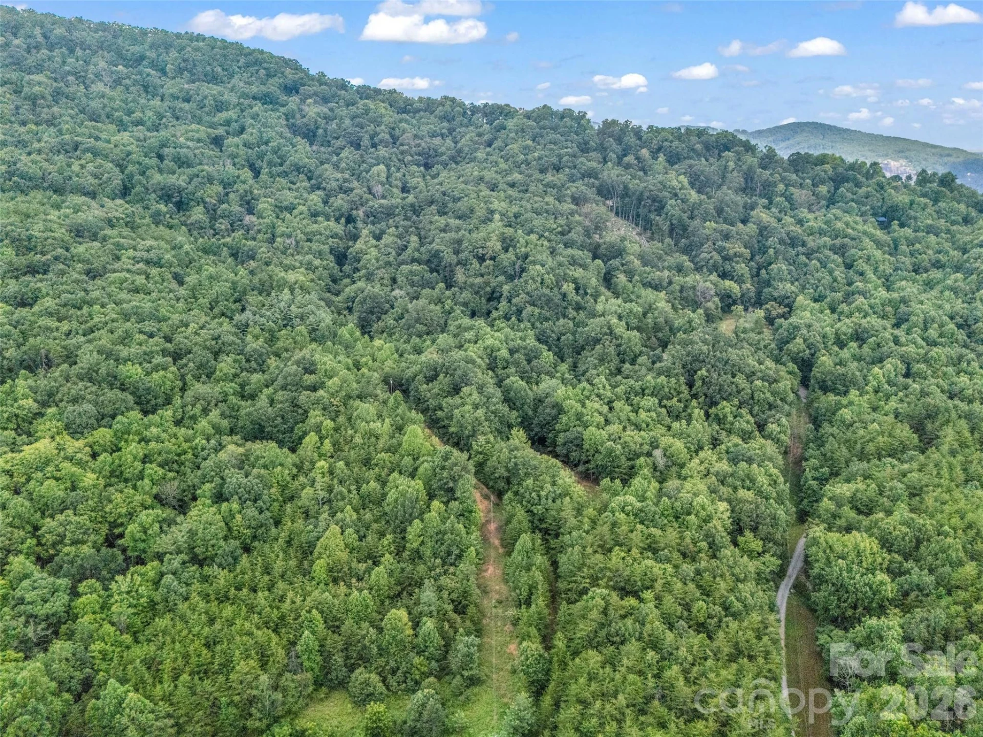 479 Camp Hill Road - Photo 48