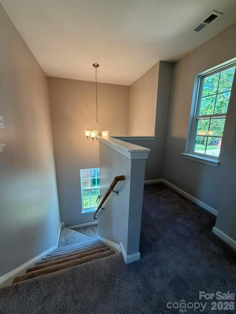 8207 Belmont Stables Drive - Photo 21