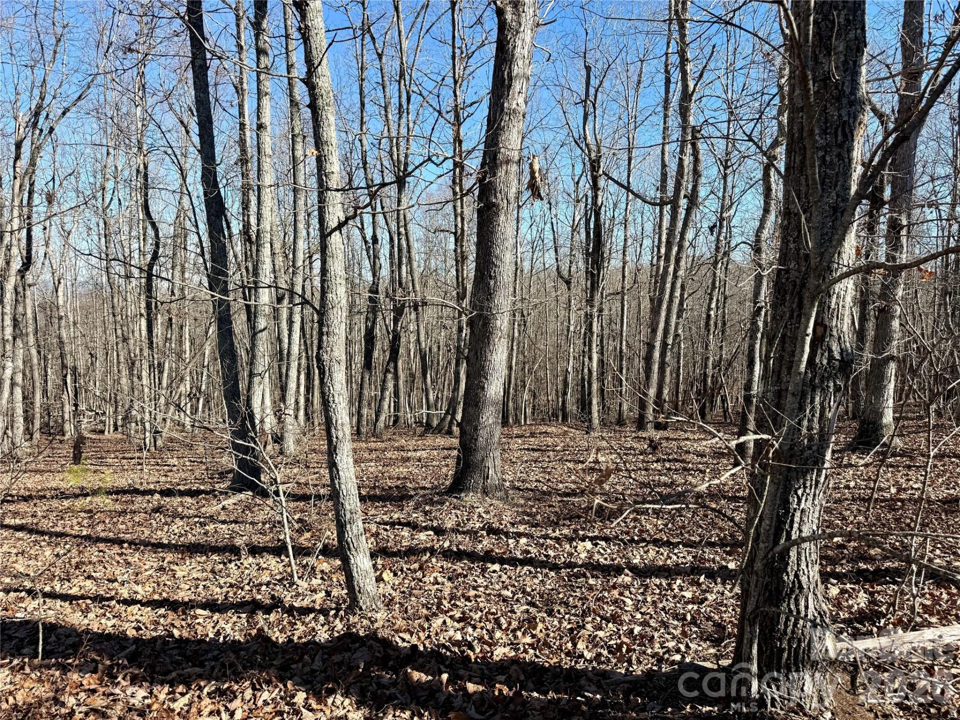 108 Woodgate Drive #94 - Photo 3