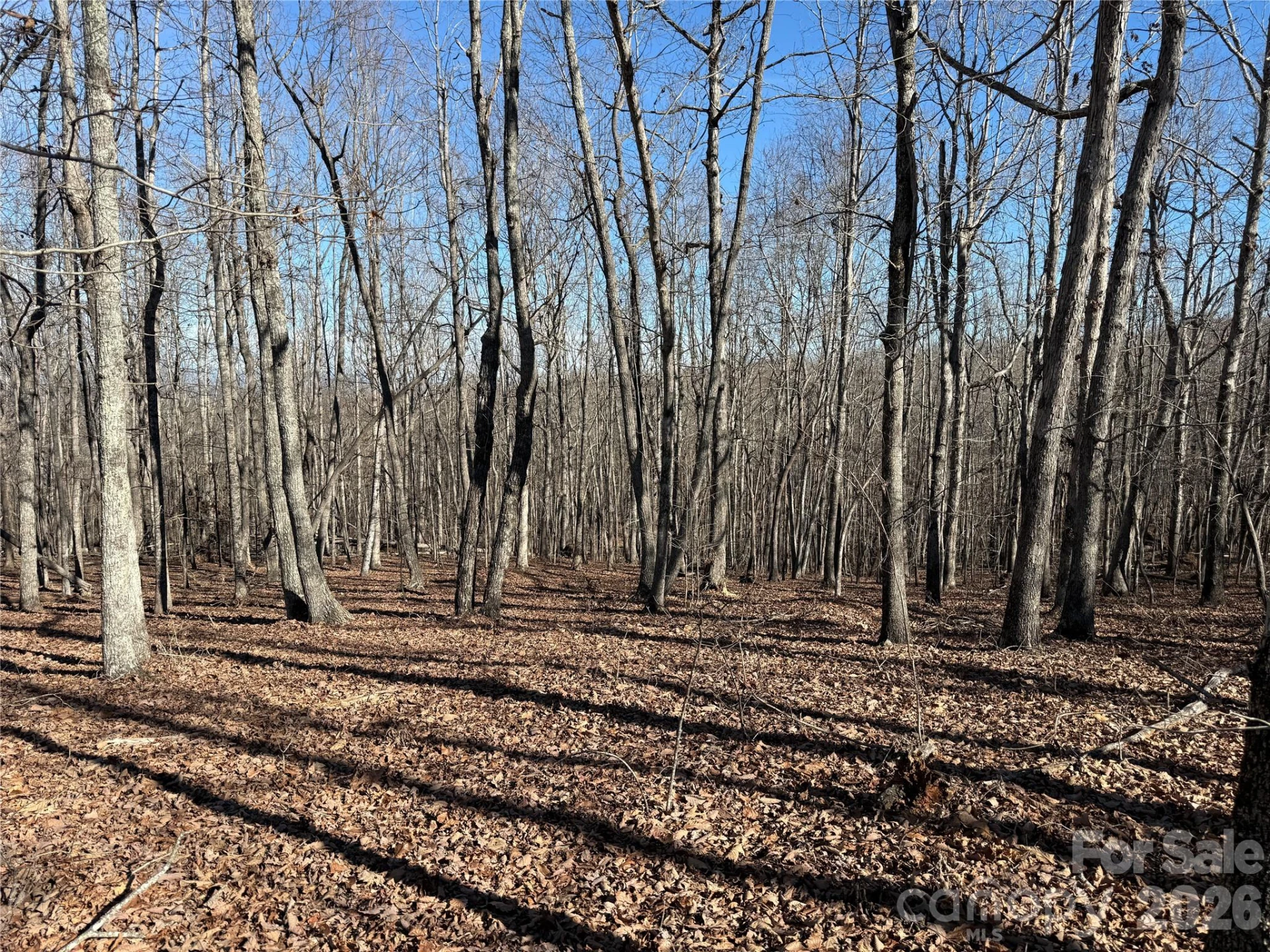 108 Woodgate Drive #94 - Photo 5