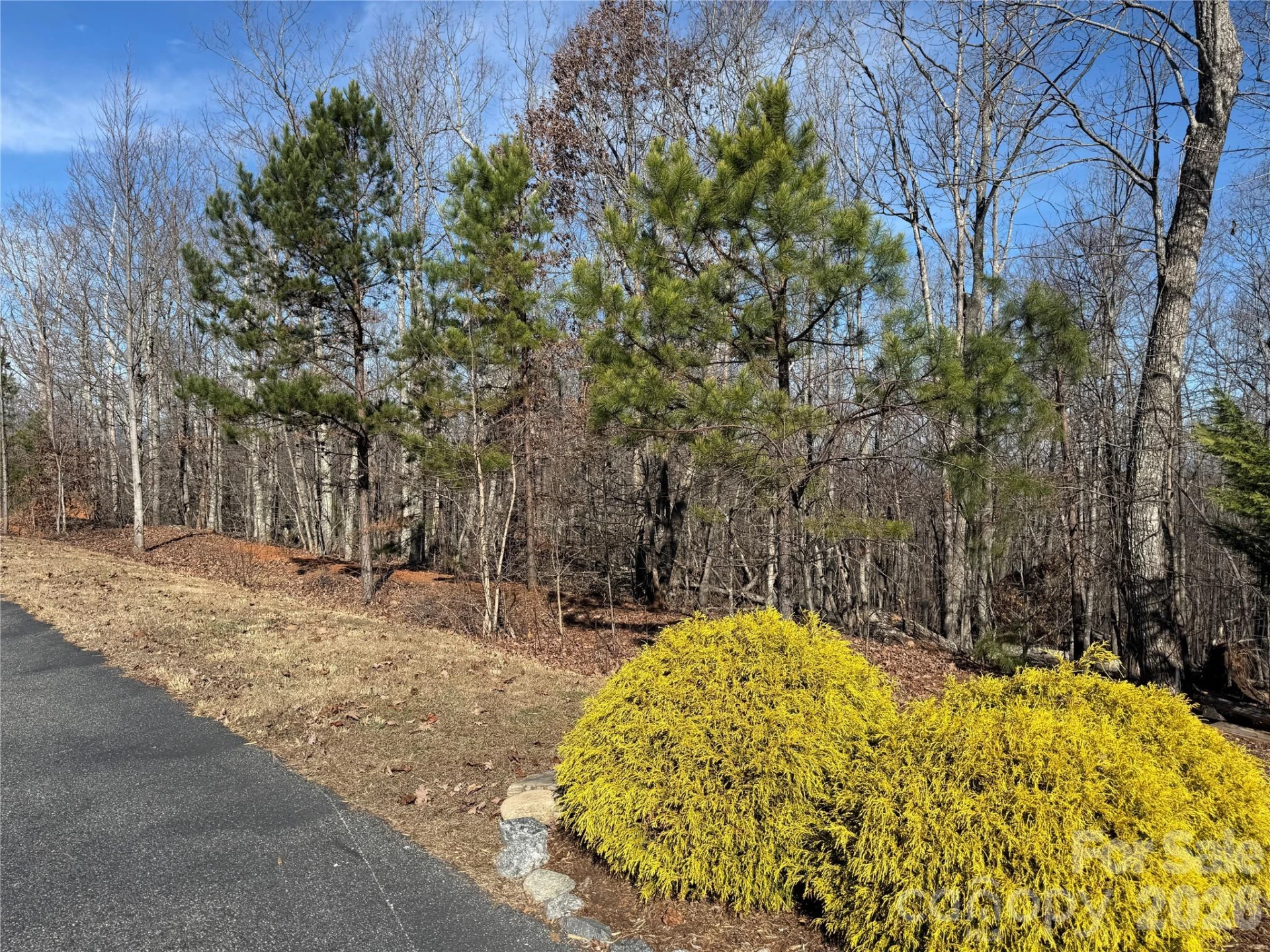 108 Woodgate Drive #94 - Photo 10