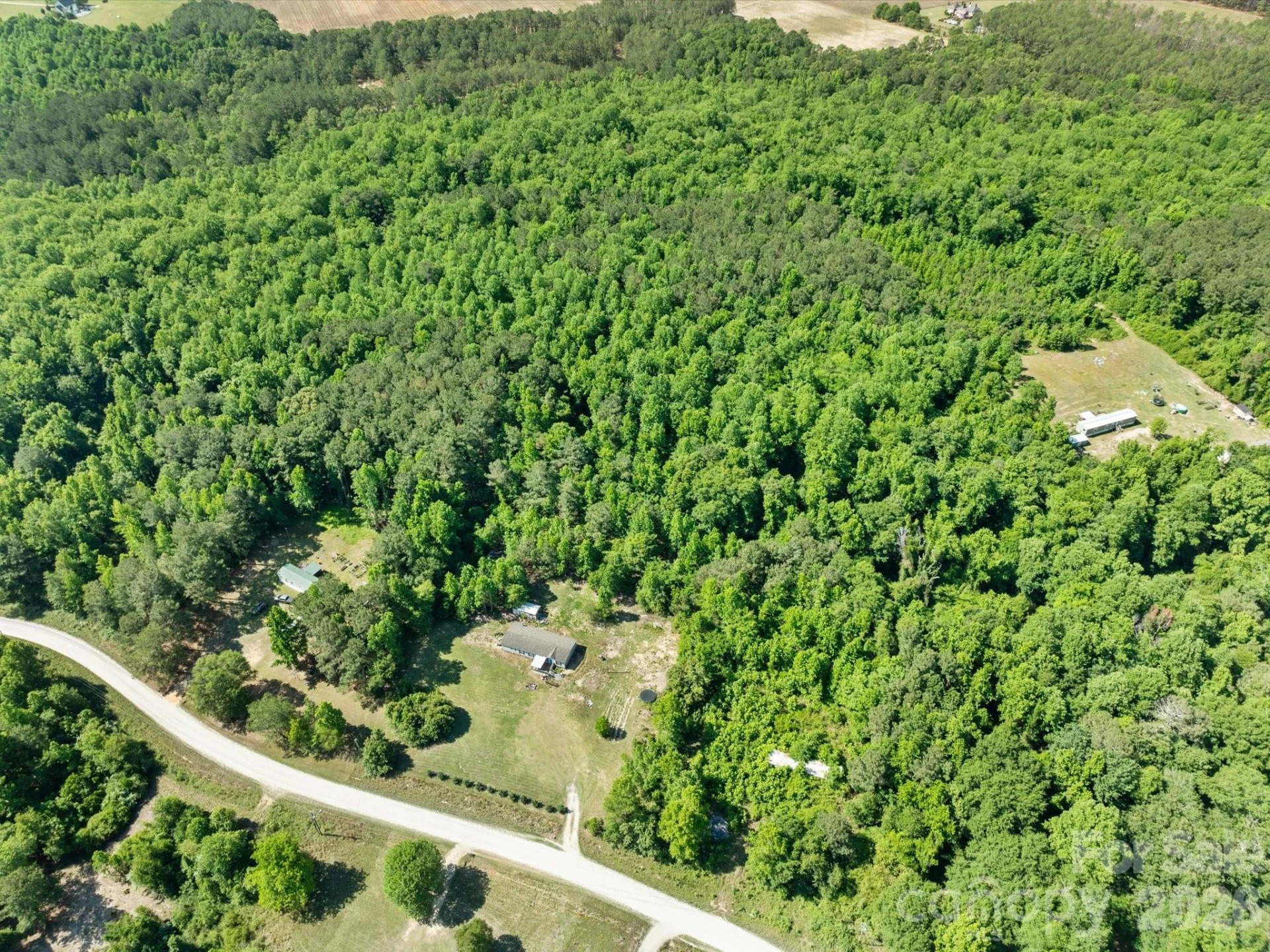 292 Longhorn Lane - Photo 41