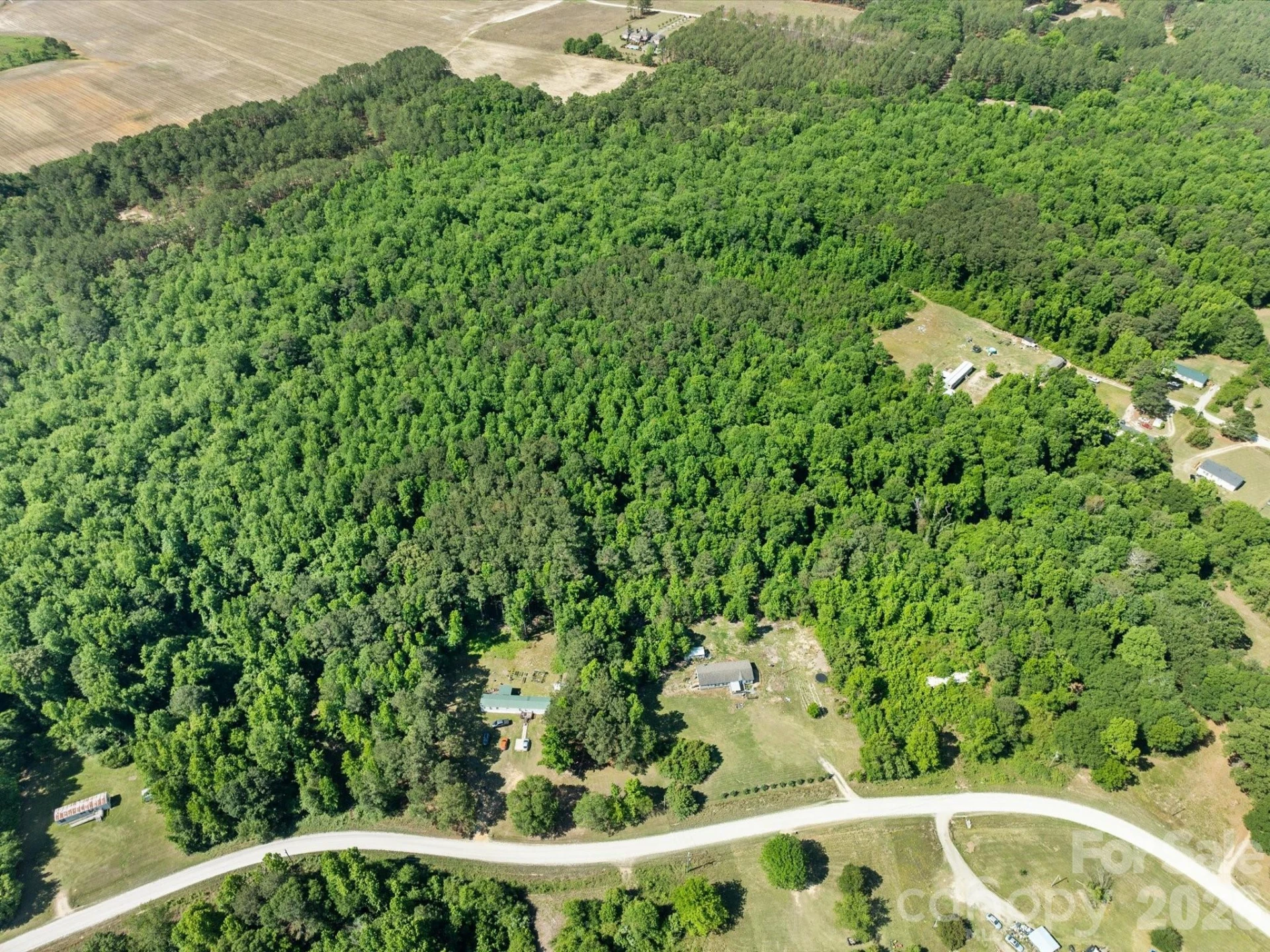 292 Longhorn Lane - Photo 42