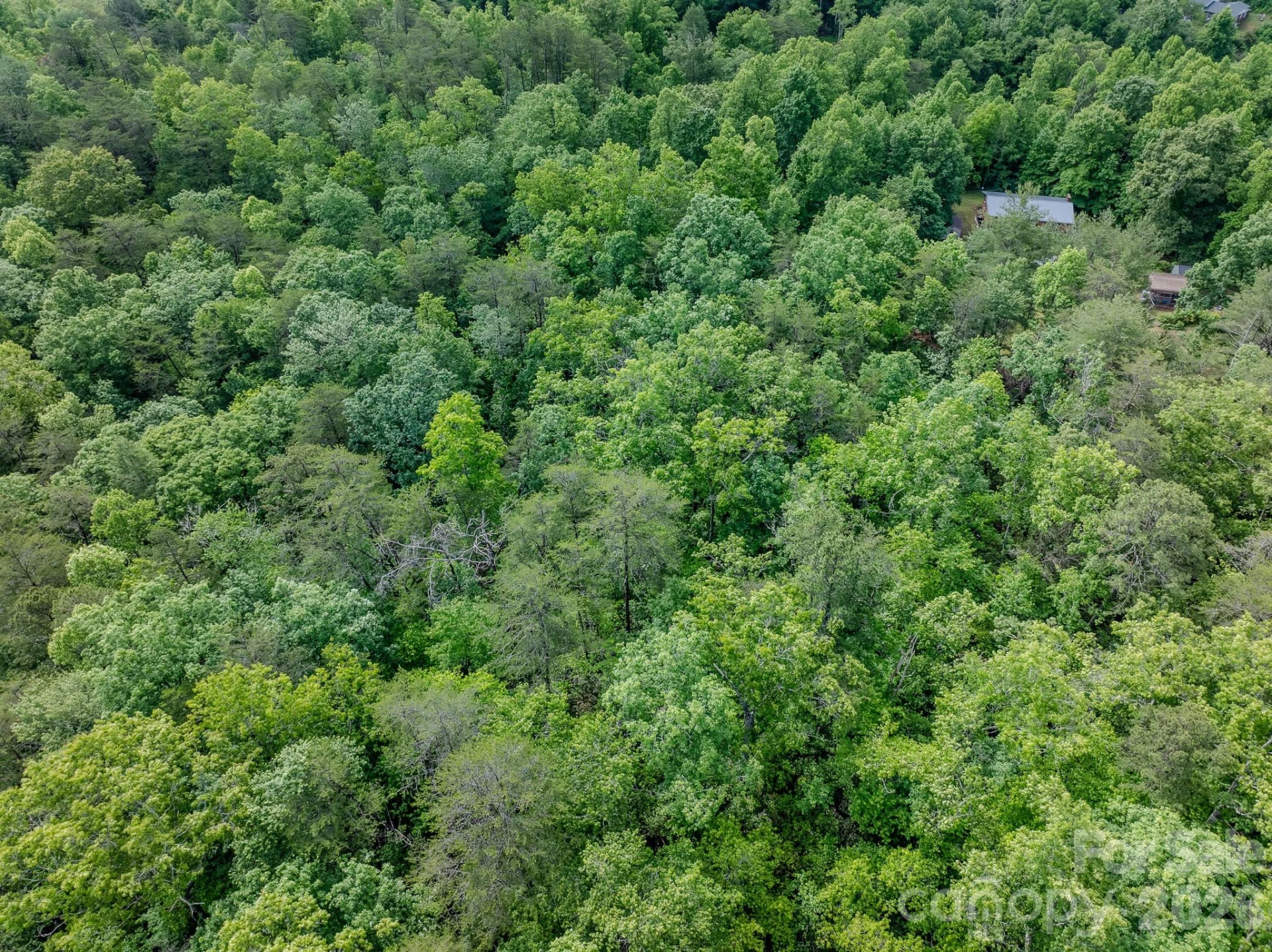 1226 Bethlehem Road - Photo 11