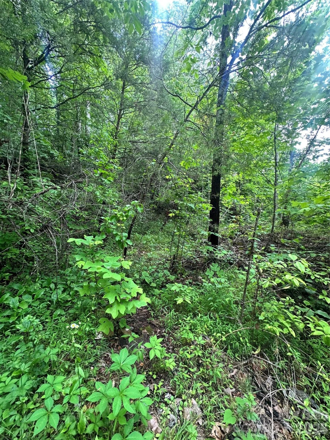 1226 Bethlehem Road - Photo 14