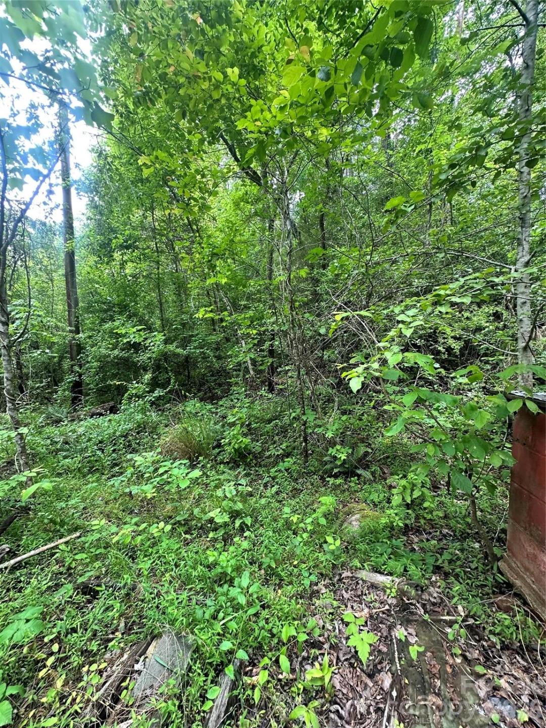 1226 Bethlehem Road - Photo 15